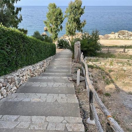 Villa Hibiscus Scopello Scopello  Zewnętrze zdjęcie