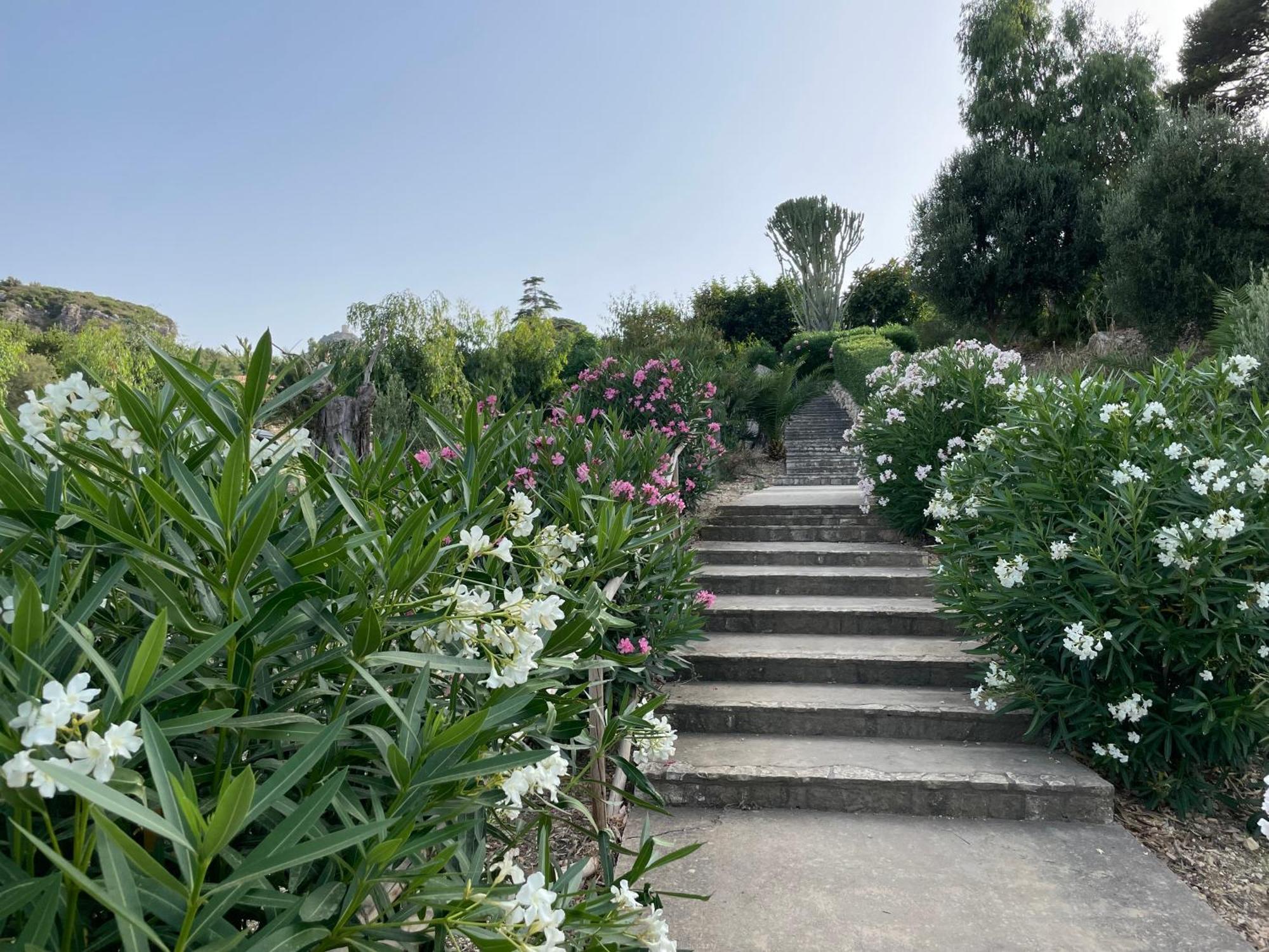 Villa Hibiscus Scopello Scopello  Zewnętrze zdjęcie