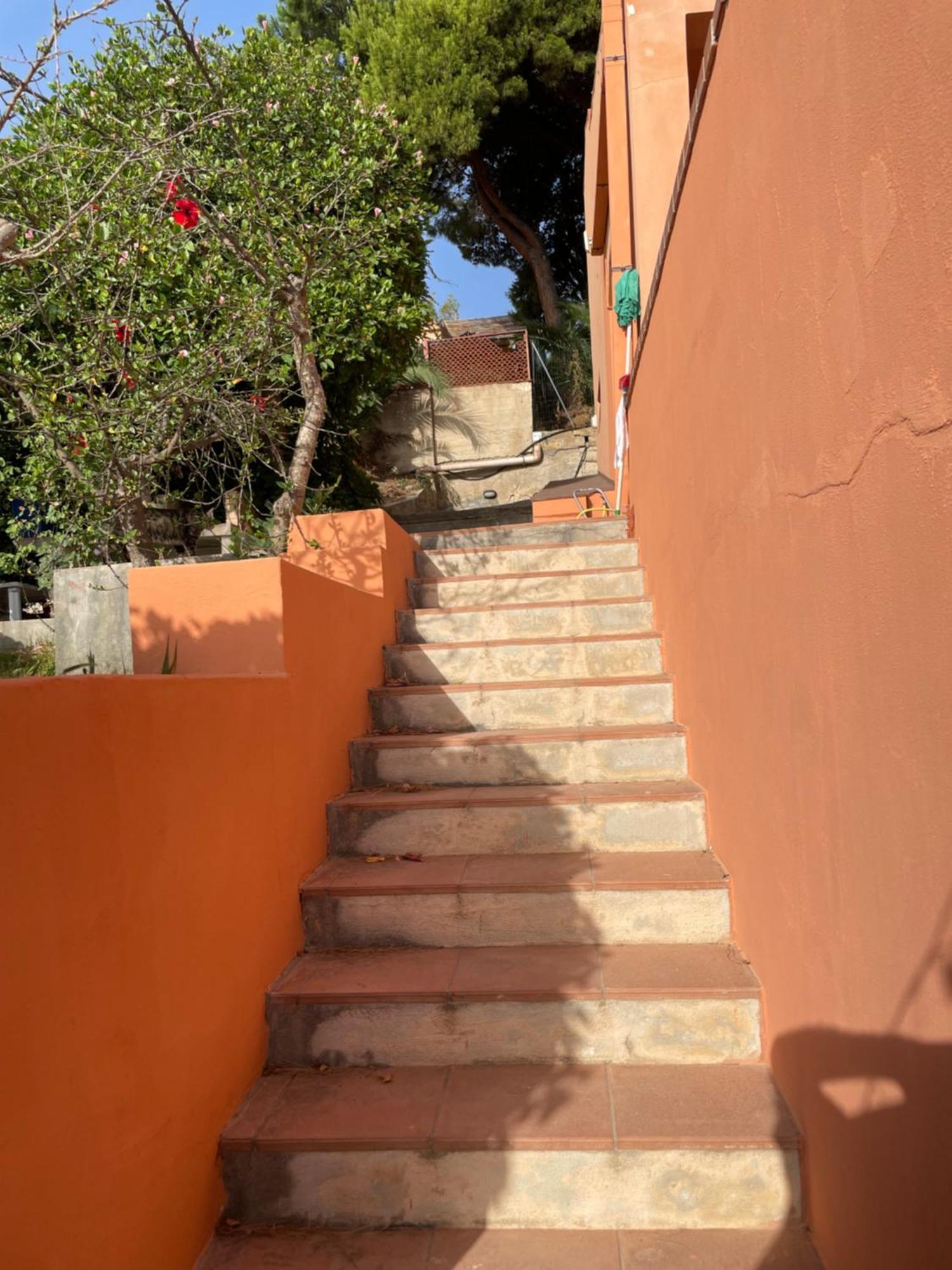 Villa Hibiscus Scopello Scopello  Zewnętrze zdjęcie