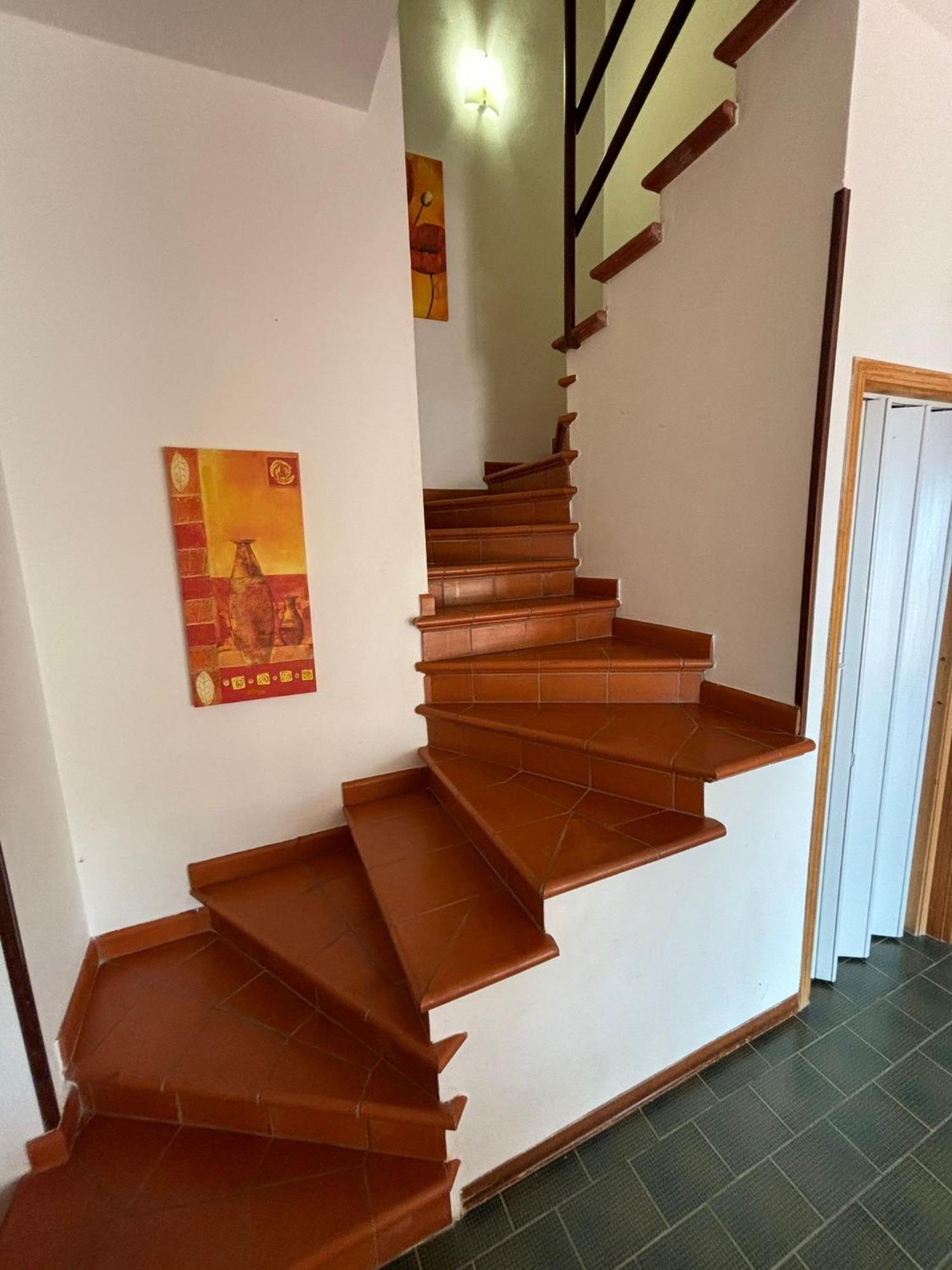 Villa Hibiscus Scopello Scopello  Zewnętrze zdjęcie