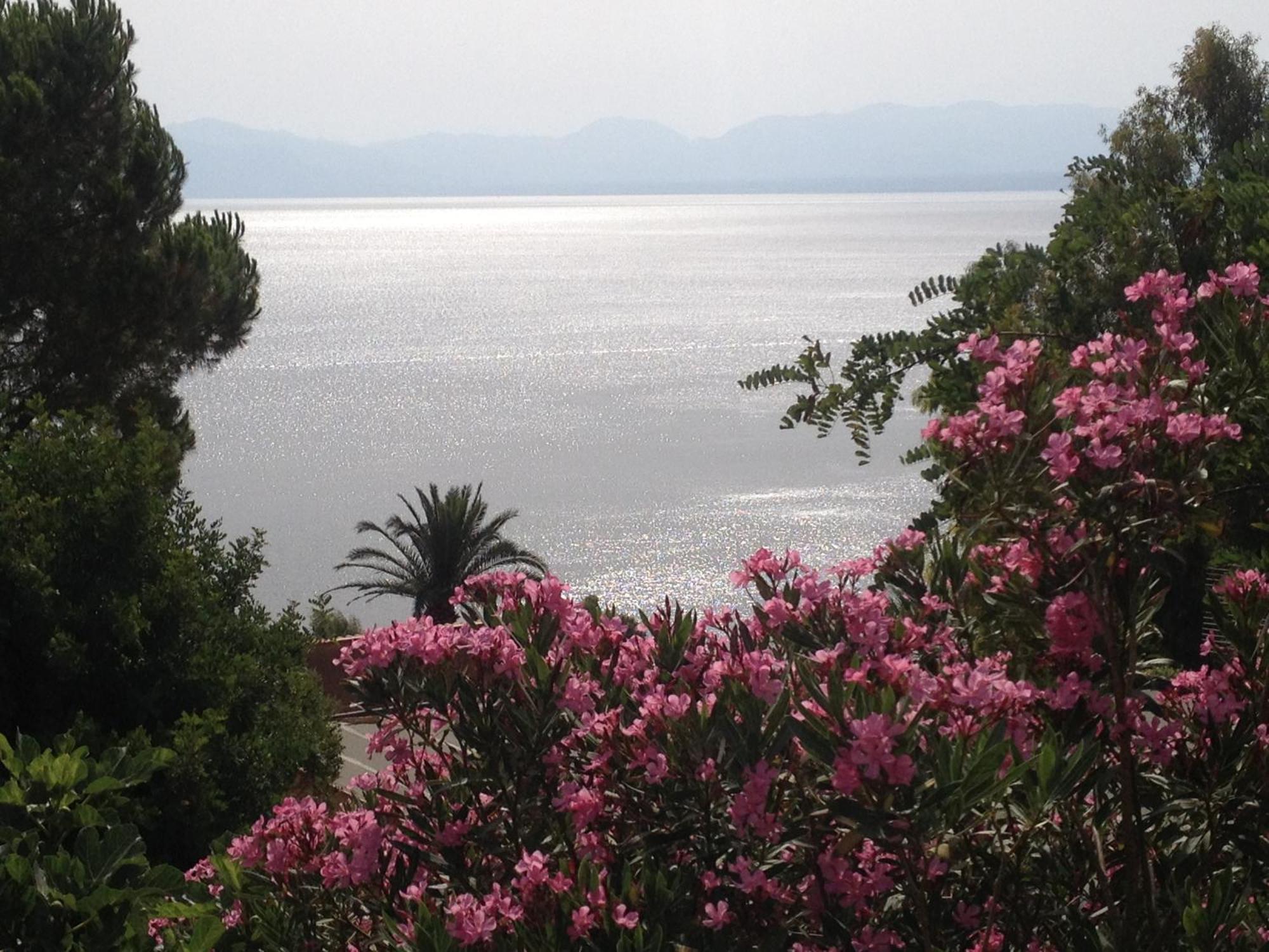 Villa Hibiscus Scopello Scopello  Zewnętrze zdjęcie